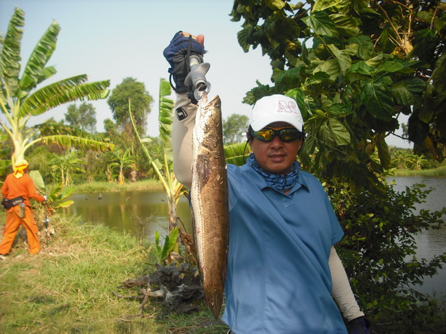 ได้โชว์ตัวแล้ว ................ หล่อจริง ๆ น้าตุ๊ก ptlure  :love: :love: :love: