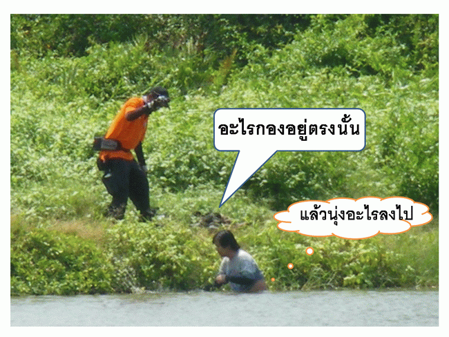 [q][i]อ้างถึง: จัง...ดั๊ย posted: 04-04-2553, 09:48:23[/i]

ช่วงนี้ร้อนมาก ลงเล่นน้ำกันสนุกเลย นะค