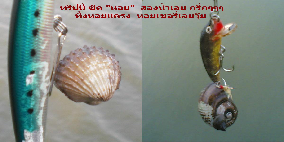 ภาพหมดแล้วครับ  :grin: :grin: :grin:

ขอลากันไปด