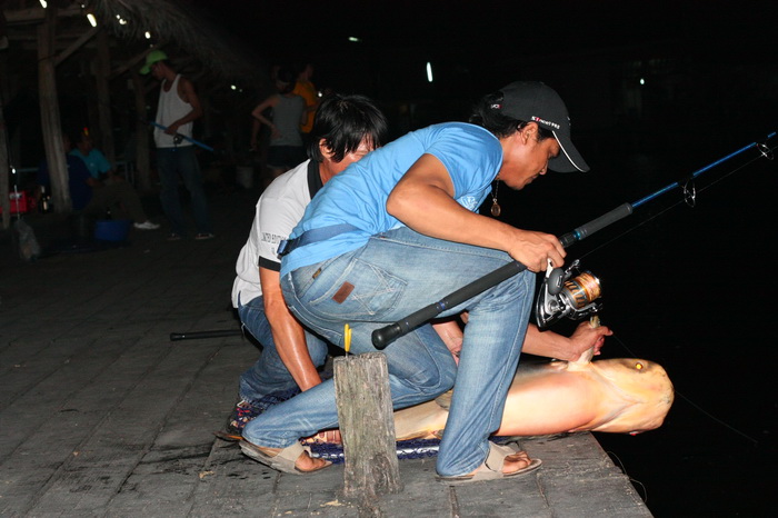 รีบปล่อยปลาอย่างรวดเร็ว กลัวผมแอบถ