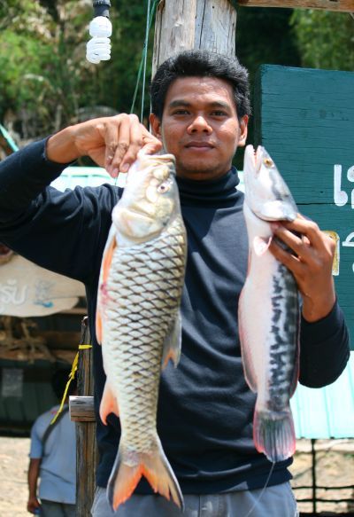 น้องดล.........กับการตีเหยื่อวันแรกที่ไม่ได้พากล้อง-/ไป.
 :smile: :smile: :smile: