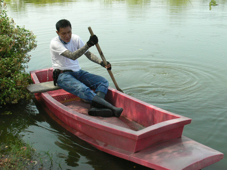 พายมันอยู่ตรงนั้นแหล่ะ...ไม่กล้าไปไ