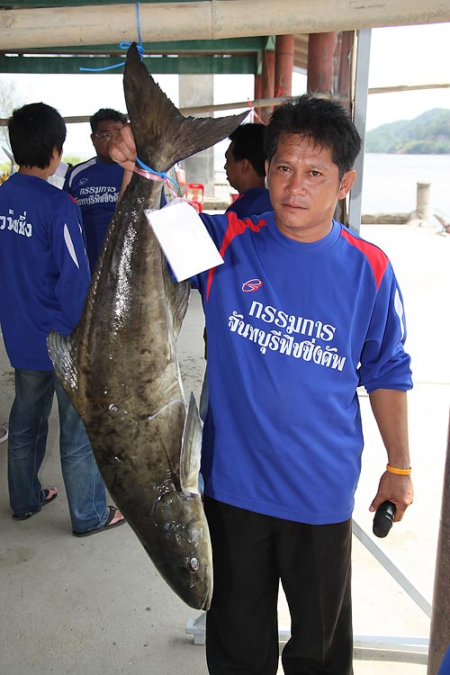 ผู้ใหญ่เอ๋ ขอคู่กับของใหญ่  :laughing: :laughing: :cool: