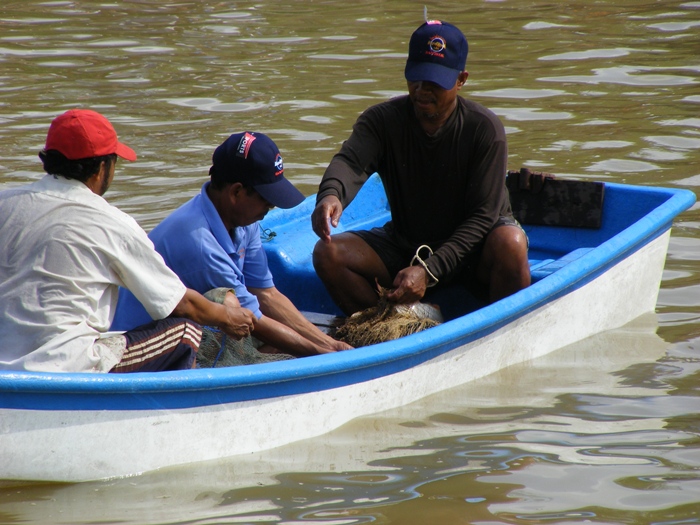 ในเรือเขาได้แล้ว..ปลายี่สกครับ