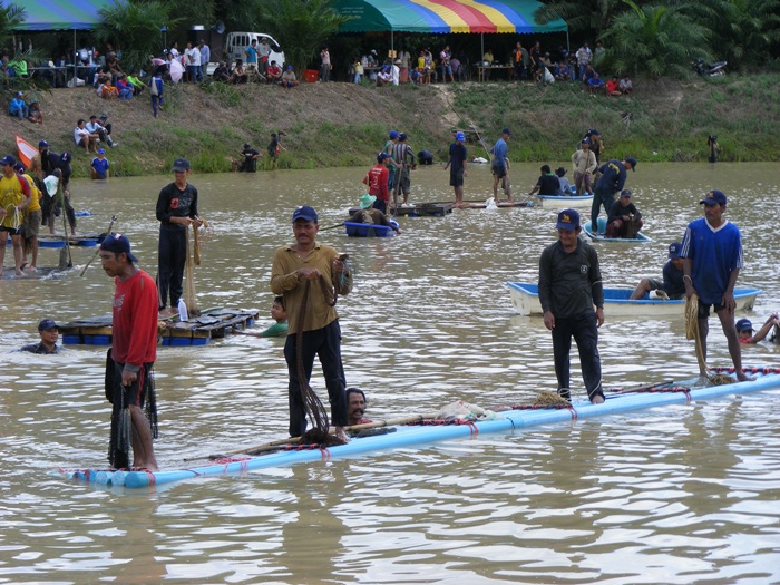 แพทอพีวีซีเลย