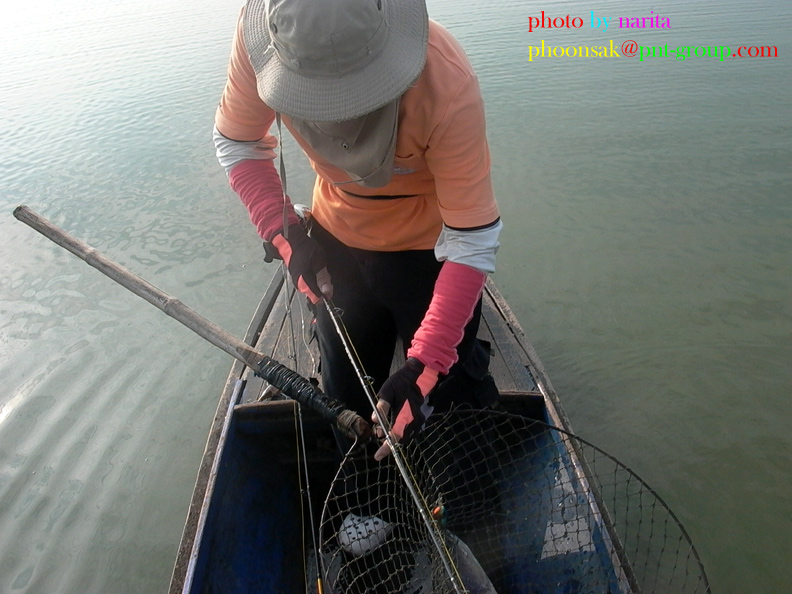 [q][i]อ้างถึง: phobna1983 posted: 08-04-2553, 11:57:09[/i]

+++1   สวัสดีครับน้าพูล   ห่างหายไปนาน