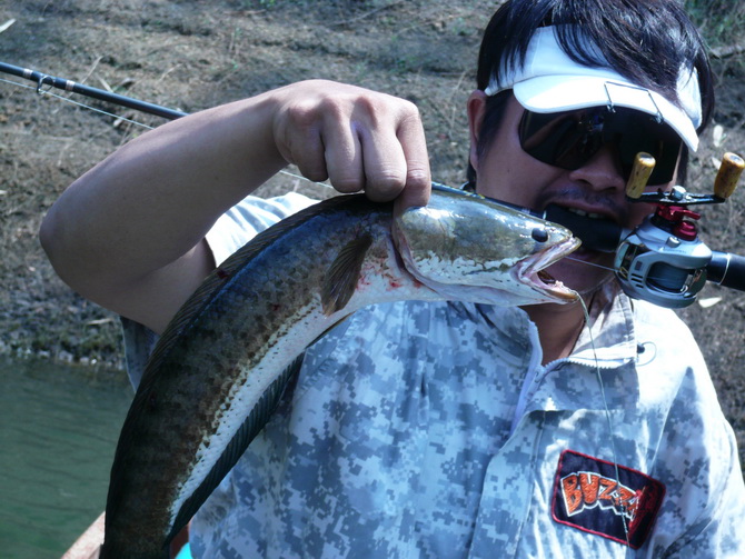 น้าเก่ง(Buzza)ครับ.... :cool: :cool: :cool: :cool: :cool: