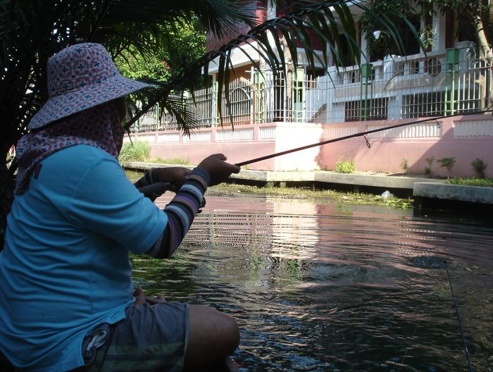 ล่องเรือมาอีกนิด 
น้ามาดก็ดันตีไข่ผม เอ้ยตีไข่แตกซะได้
ใหญ่ซะด้วย เย้ๆๆๆ พาสมาชิกไฮยีน่า มารอดแล้ว