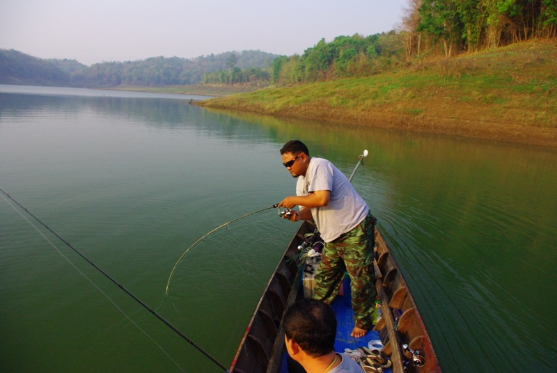  [center] [b]พอเข้าใกล้เรือก็เริ่มเถียงใหญ่ เริ่มมุดเข้าใต้ท้องเรือตามสูตรครับ งัดๆๆๆเข้าไป ปลาตัวแร