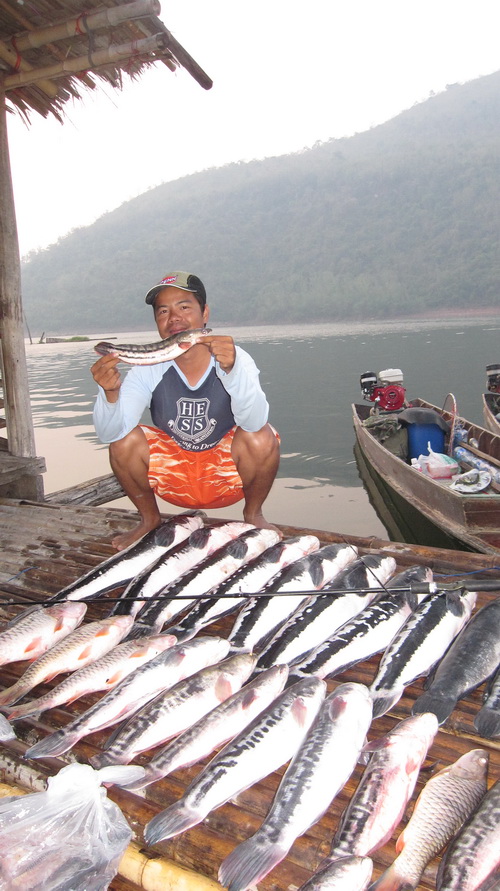 นี้คับ   (ส้มปลาโด) :laughing: :laughing: :laughing: :laughing: :laughing: :laughing: :laughing: