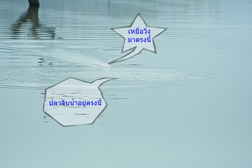 มีเสียว :grin: