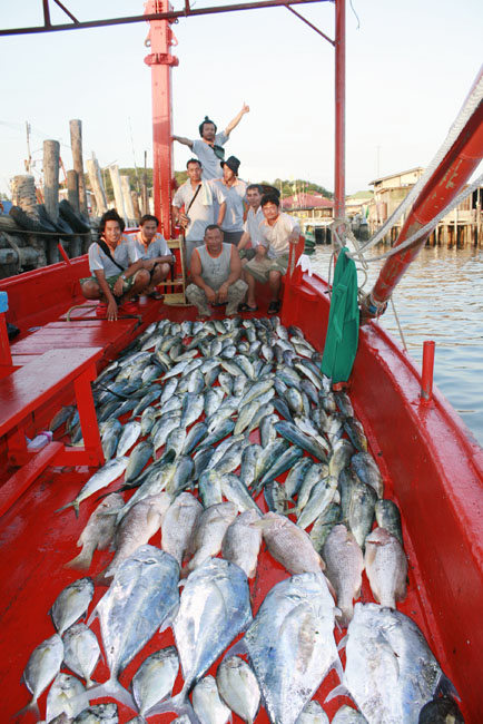 แสมสาร + ไต๋เรือง + หมายนอก + อีโต้มร 