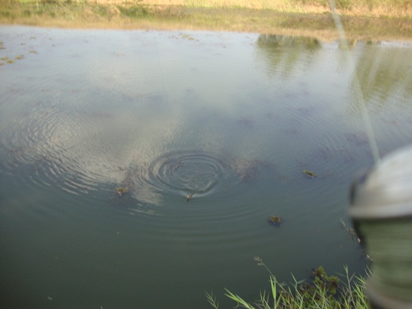 [q][i]อ้างถึง: Mong_Actionlure posted: 12-04-2553, 15:21:58[/i]

 [q]สวัสด