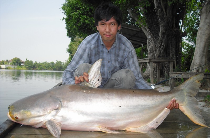 ทิ้งท้ายไว้อีกสักรูปเดี๋ยวตอนค่ำๆมาต่อให้ครับ :grin: :cheer: