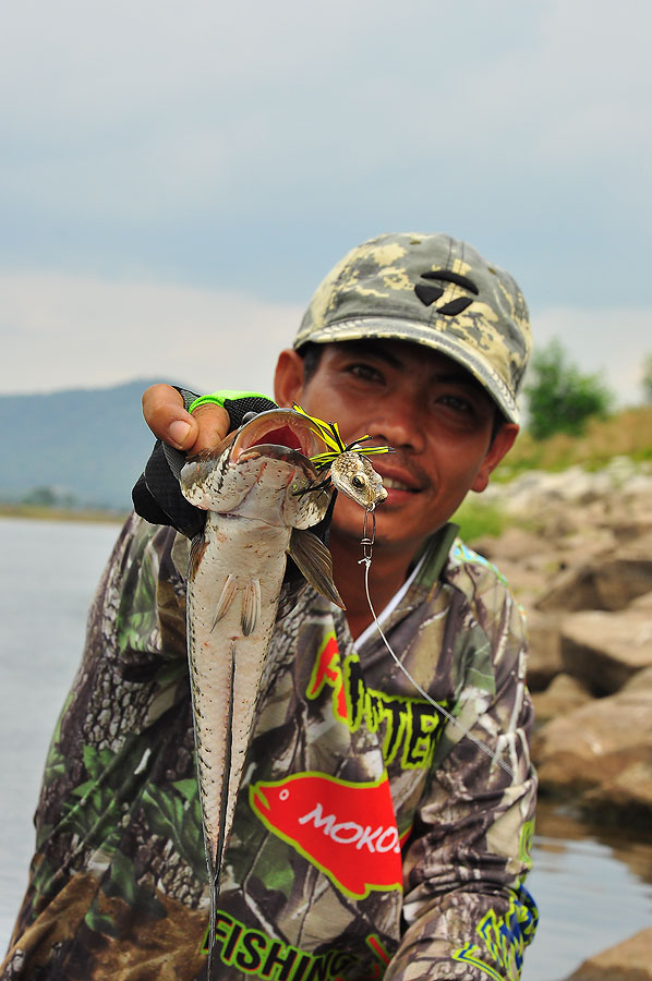 พลาดหวังจากชะโดใหญ่  สบายใจกับปลาช่อนครับ :laughing: