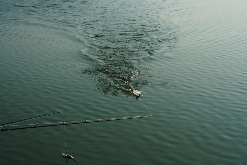 ตามมาถึงเรือเลย :ohh: :ohh: