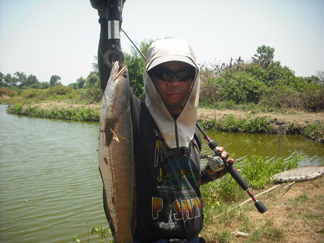 พุงปลาก็ป่อง ....................... พุง อ.หนูก็ป่อง  :laughing: :laughing: :laughing: