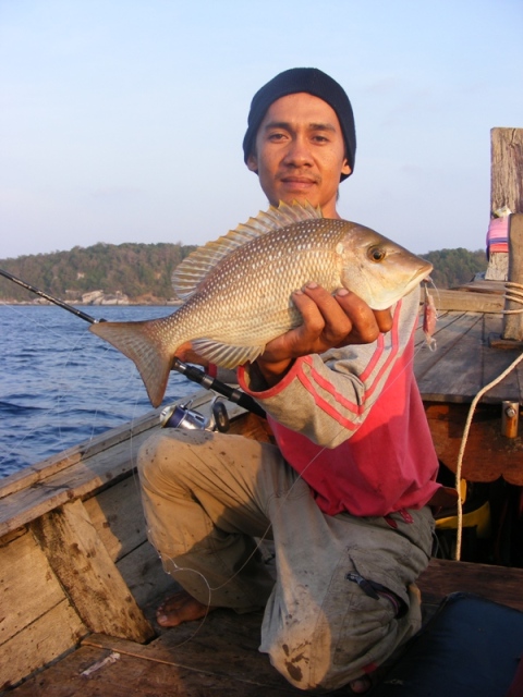 ลายตอก ขนาดน่าทานอีกตัว :grin: :grin: :grin: