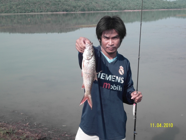 [q][i]อ้างถึง: berd posted: 15-04-2553, 14:12:24[/i]

ใครจะแห้วเ