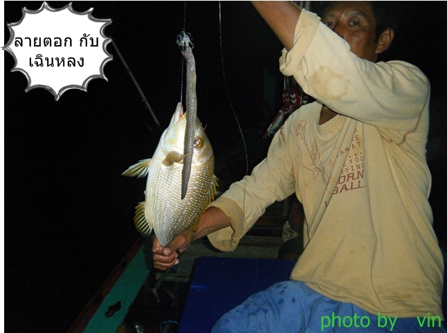 แปนลายตอกคู่กับเฉินหลง :laughing: :laughing: :laughing:
 :cheer: :cheer: :cheer: