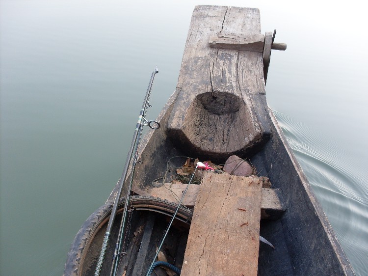 ขณะที่นั่งไปในเรือก็ต้อง สะดุ้งโหย๋ง เมื่อชะโดตัวใหญ่ ขึ้นเล่นน้ำข้างๆเรือ :ohh: :ohh: :ohh: :ohh:
