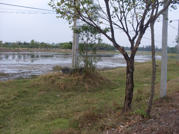 ลงไปตีกบอยู่ 20นาที จน ผบ.เรียก เพราะป