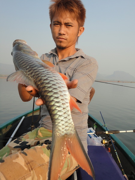 จัดไปครับ 