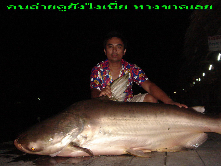 
[b]คนถ่ายไม่แจ๋วเลยๆๆ
แหมๆๆ[/b]


 :grin: :grin: :grin: :grin: :grin: :grin: :grin: :grin: