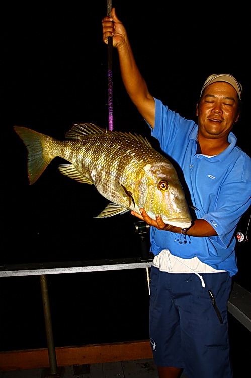  [b]ตะมะลายตอก ไซส์ที่เดี๋ยวนี้หาได้ค่อนข้างยาก.. อ้าว!! โปรหลับตาซะแล้ว สงสัยต้องออกไปถ่ายซ่อมกันให