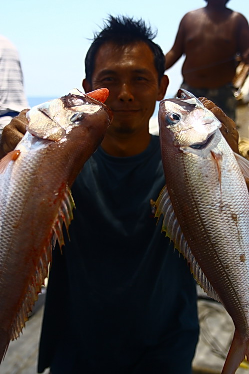  [b]ปลาหน้าตาแบบนี้ ส่วนไต๋ก็หน้าตาแบบนี้[/b]