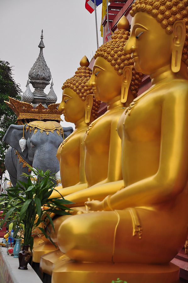 ที่สามเหลี่ยมทองคำเรามาเที่ยววัดอะไรจำชื่อไม่ได้อ่ะครับ ขนาดท่องไว้ตั้งหลายเที่ยว แต่ถ้าเป็นชื่อหมาย
