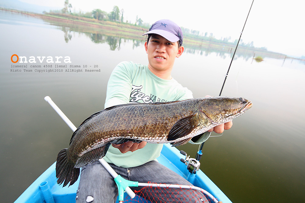 
ช่อนใหญ่คับ



 :cheer: :cheer: :cheer: