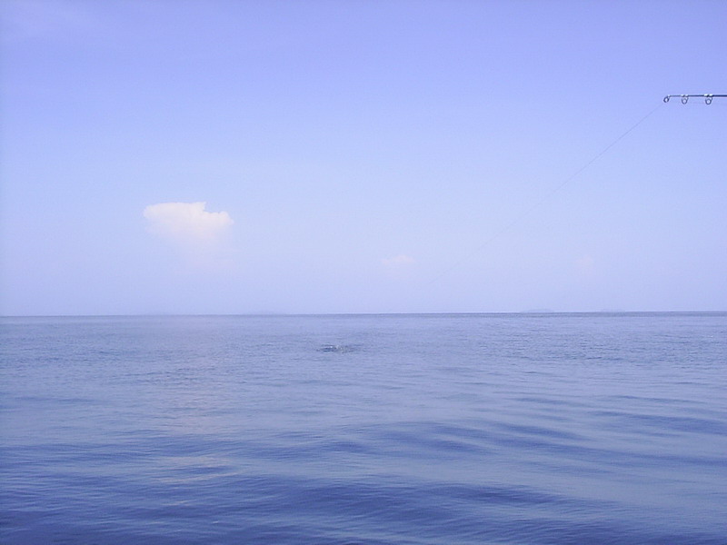 หลังจากอาบน้ำบนเรือไต๋แจวจนสบายแล