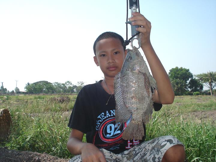ตูนครับได้มาเรื่อยๆเลยครับ....หย่อน......... วัด..กินดีมากๆ :grin:
00000000000000000000000000000000
