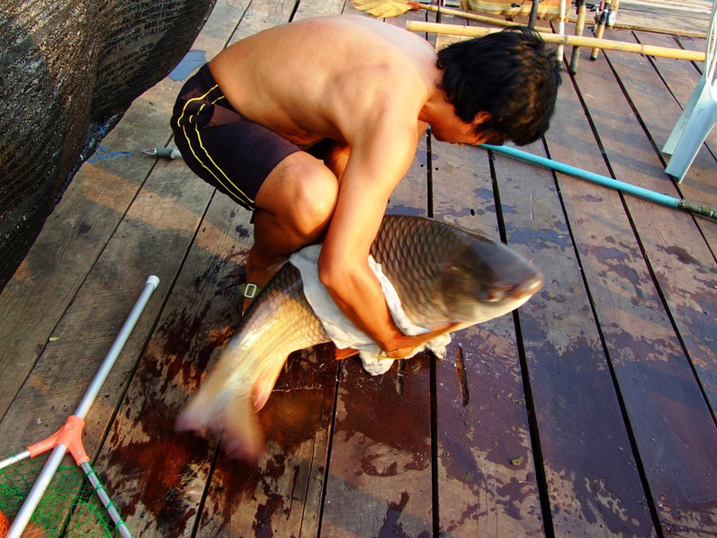 ผมช้อนขึ้นมาครับพยายามอุ้มมาถ่ายร