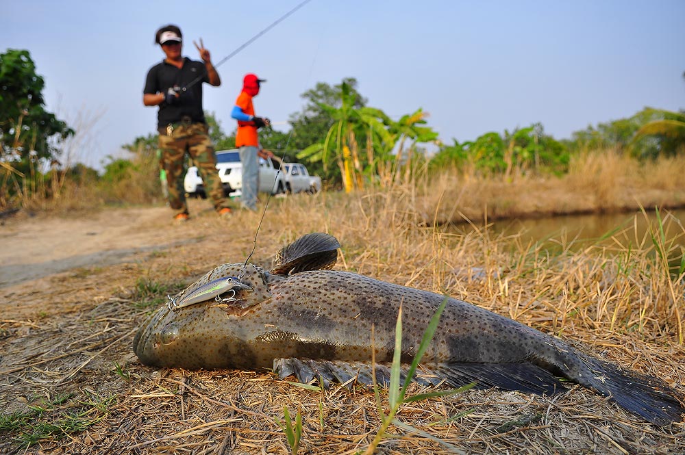 จัดไปอีกซัก รูป :grin: :grin: