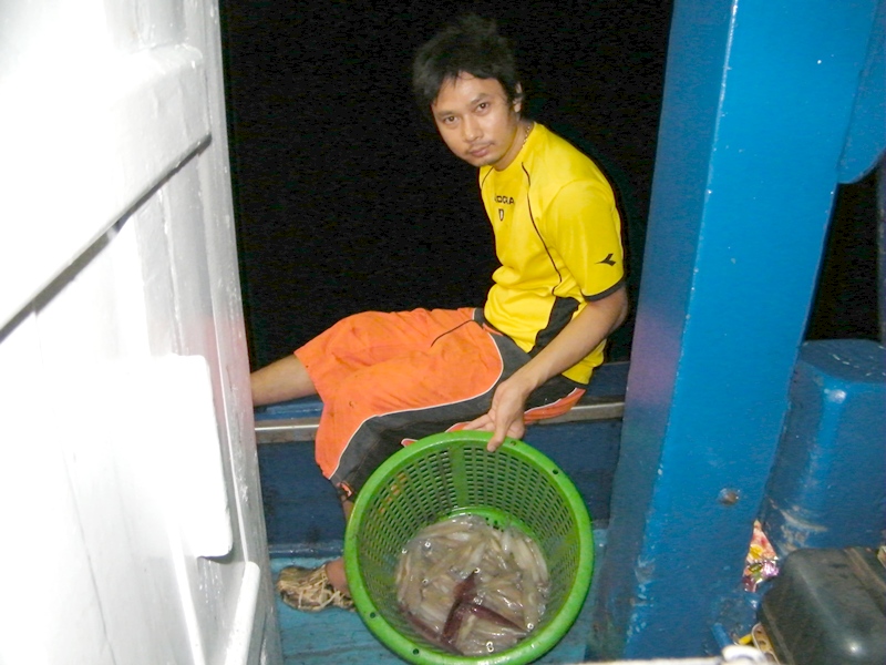 ปลาไม่กิน ก็ แจกเข่งคนละใบ ให้ไปใส่
