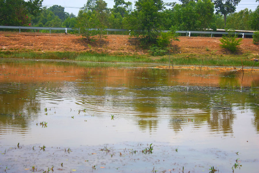 [q][i]อ้างถึง: ดาวกระจาย posted: 20-04-2553, 19:26:25[/i]

 [q]พ