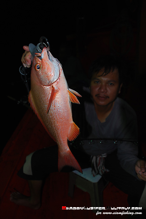 เอาใหม่ๆ
