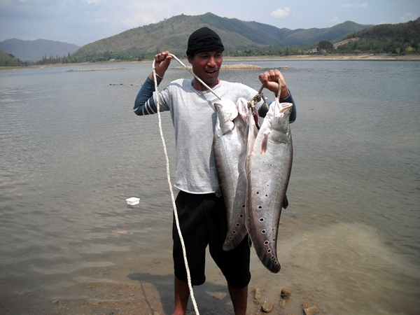 ทริปนี้มีรูปเดียวโดดๆครับ รายละเอียดอยู่กระทู้นี้ครับ [url='http://www.siamfishing.com/board/view.p