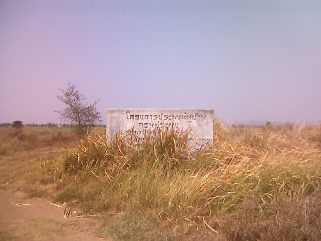 ตะกร้อแก้แห้ว
