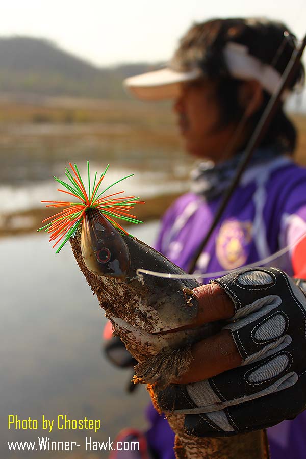 ยังอีกๆๆๆ  :grin: :grin: :grin: :grin: :grin: :grin: :grin: