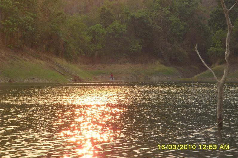 ส่วนผมกับน้าpor ก็เอาเรือเล็กไปหาตบเด็กครับ  หมายนี้ 2 ปีก่อน น้าpor ได้ชะโดถ่านนะครับน้า น้า