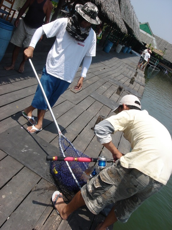 นึกว่า เกือบไม่ได้ตัวซ่ะ แล้วซิ... 

หวัดดีครับ น้าparasaild44  :cheer: 