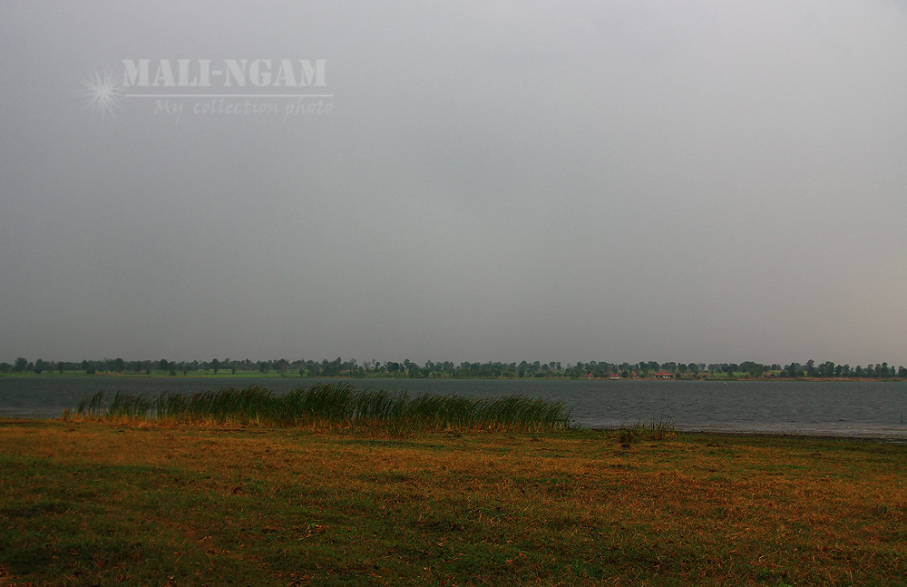 [q]สาธุ..เทวดาฟ้าดิน
ขอให้รินหลั่งน้ำฝนลงมาอีกเถ๊อะ..ฝนมาเมื่อไหร่ไอแอมจะรีบไปแต่เช้า[/q]
ป๊าดดดดด