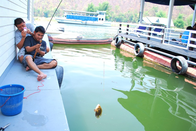 [q][i]อ้างถึง: svfishing posted: 22-04-2553, 12:56:58[/i]

[b]ดูแอ๊คชั่นคันเบ็ดซ๊าาาาาาาาาาาาาาา ก