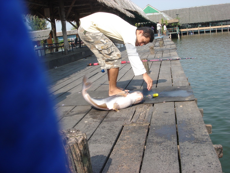 [q][i]อ้างถึง: noch posted: 22-04-2553, 16:09:42[/i]

[q][i]อ้างถึง: j1983 posted: 22-04-2553, 15: