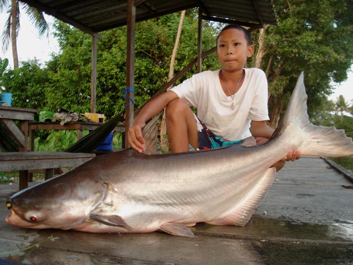 อีกรูปครับ :grin: