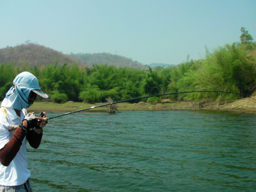 ท้ายเรือก็ไม่ยอมครับ กัดดีไม่แพ้กันเลย 