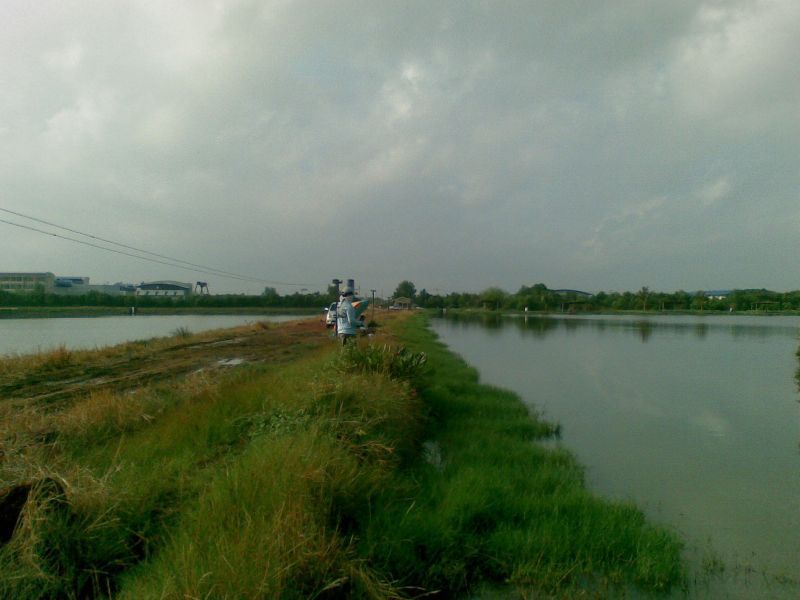 แหมกำลังหาตัวแรกอยู่อย่าเพิ่งเรียกมาถ่ายจะรูปดีกว่า
....เกรงจาย.....